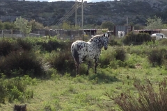 Urlaub in einem typisch französischen Haus in peyriac de mer am Mittelmeer