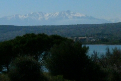 vue du Pyrénées de Leucate Pyrenäen Pyrenees seen from Leucate