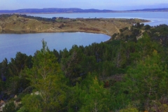 Plage de baignade à Peyriac Badestelle  Bathing beach